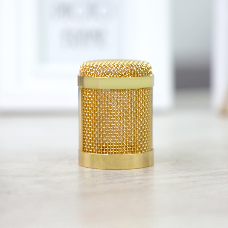 Golden Microphone Head